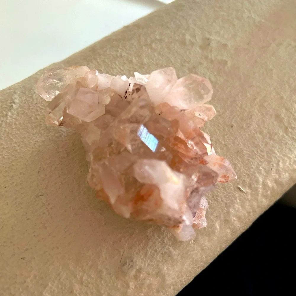Pink Himalayan - Picture 3 of 3